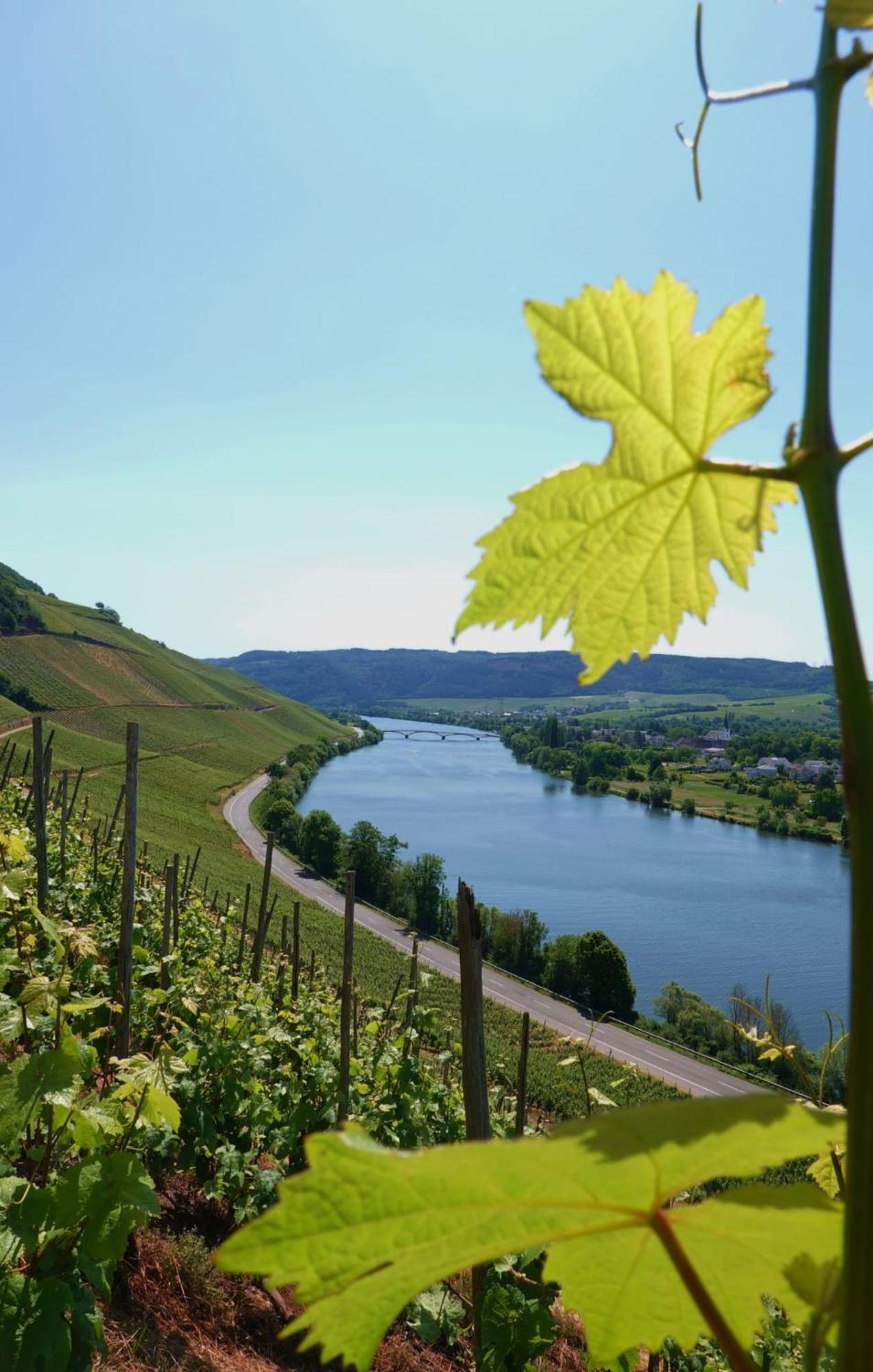 Neue Loft Im Alten Kelterhaus - Urlaub Im Wein- Und Ferienort Bekond 外观 照片